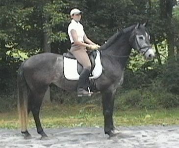 Remington Steele